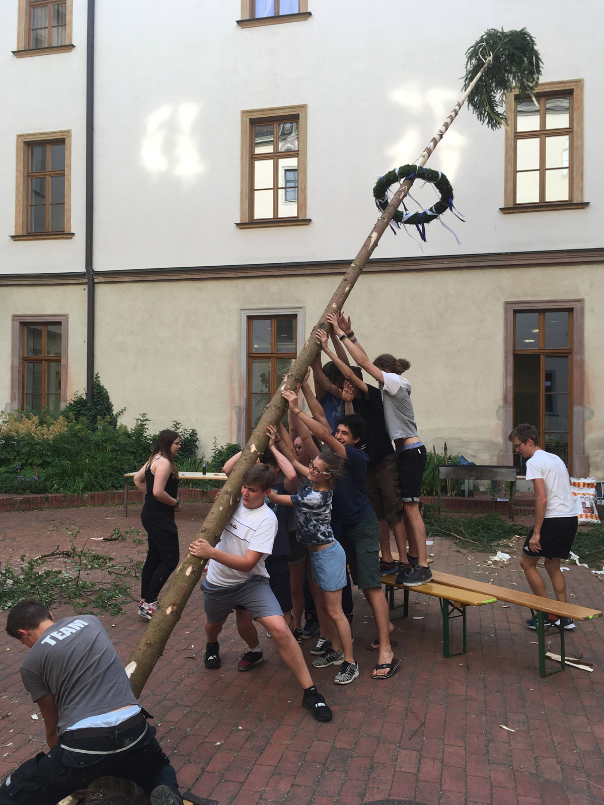 Jugendliche stellen gemeinsam einen Maibaum auf