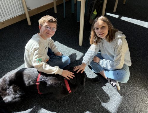 Freundschaft geschlossen!